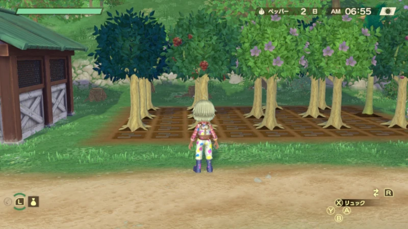 Story Of Seasons: A Wonderful Life Beginner Tips & Tricks - How To